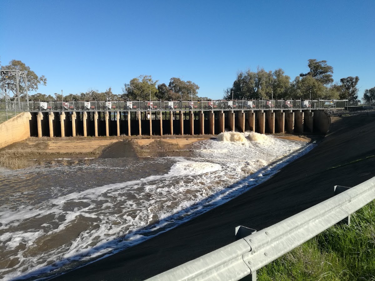 Loddon Floodway