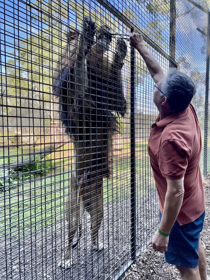 Shoalhaven Zoo Camping Reserve