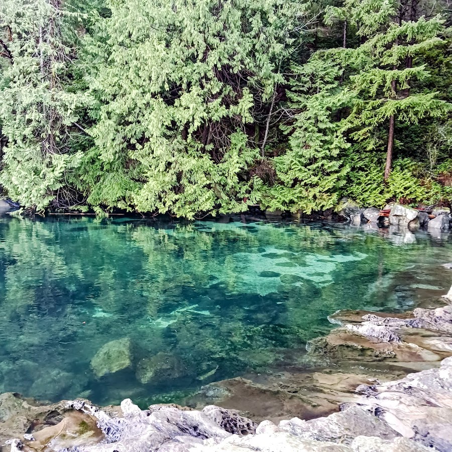 Joan Point Campsite