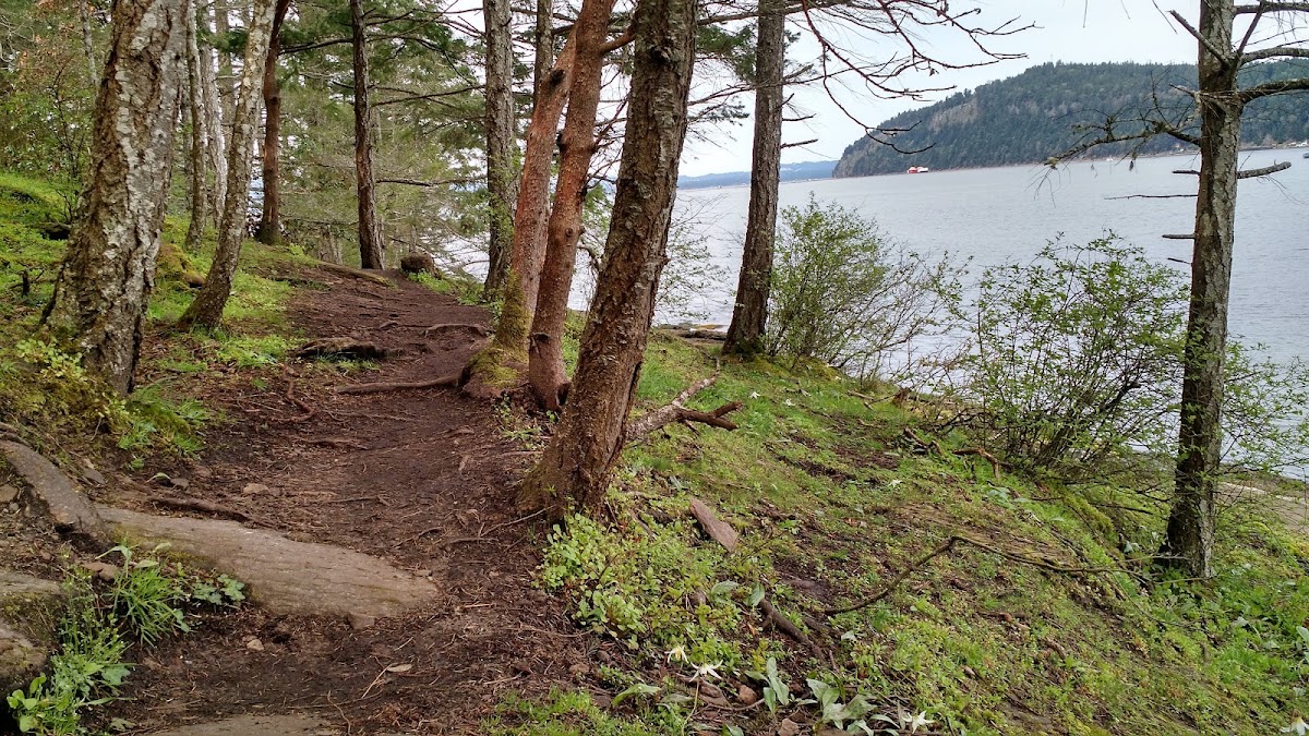 Joan Point Campsite