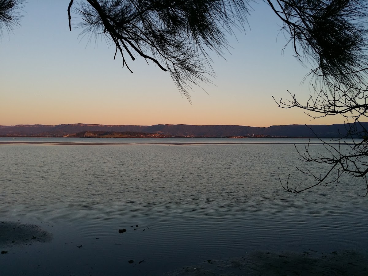 Oasis by the Lake
