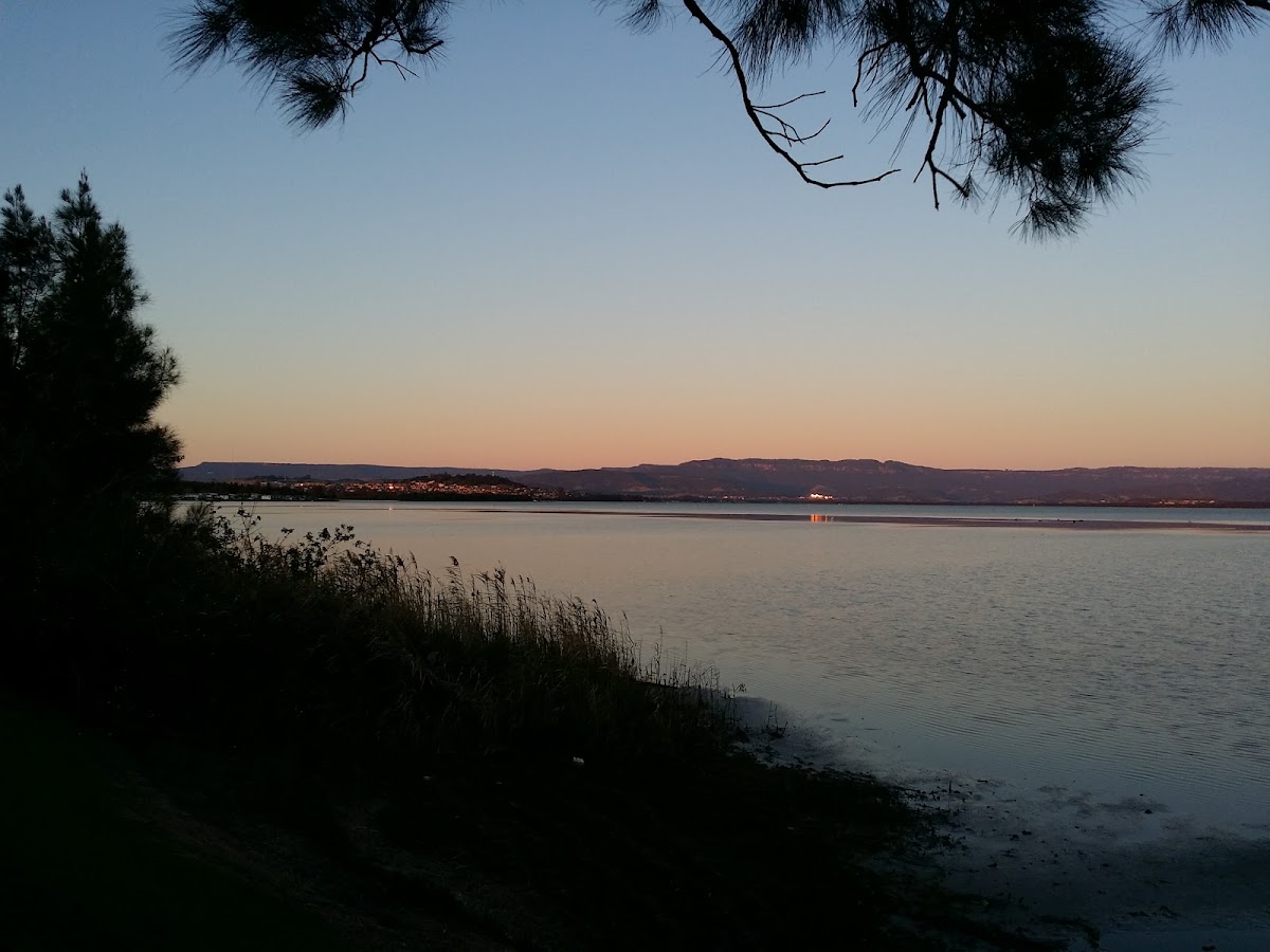 Oasis by the Lake