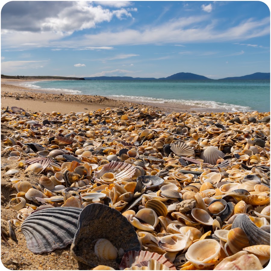 Kelvedon Beach