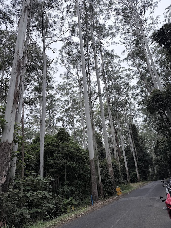 Yabbra National Park