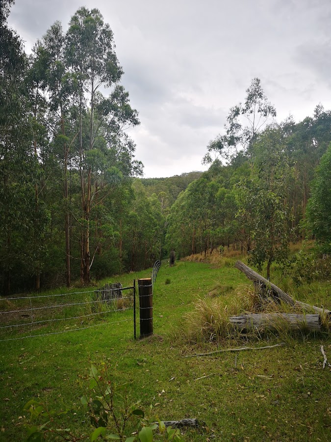 Yabbra National Park