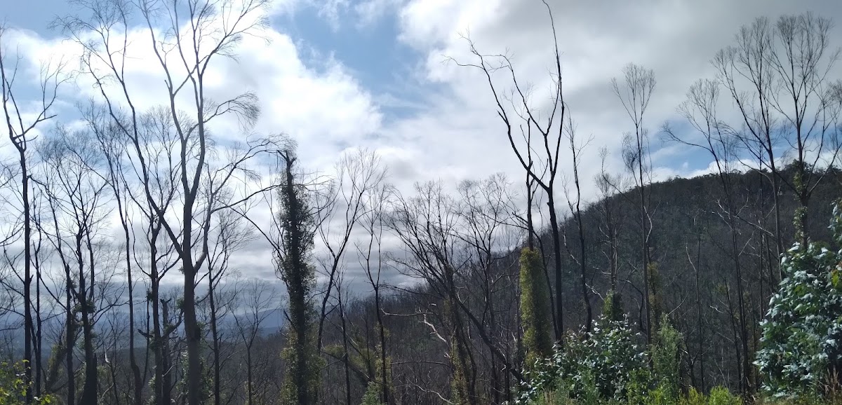 Alfred National Park