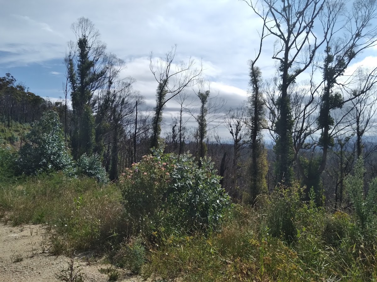 Alfred National Park