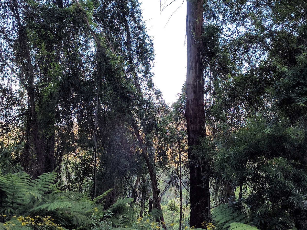 Alfred National Park