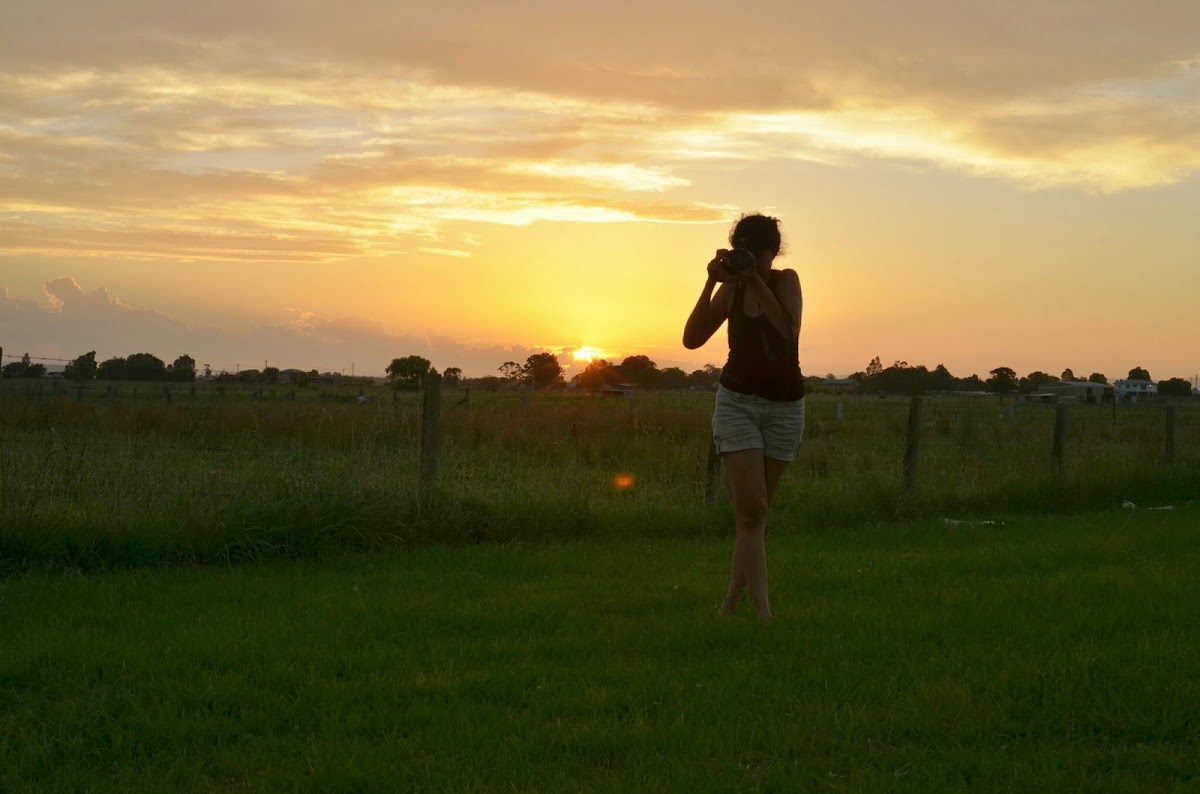 Maitland Caravan Park