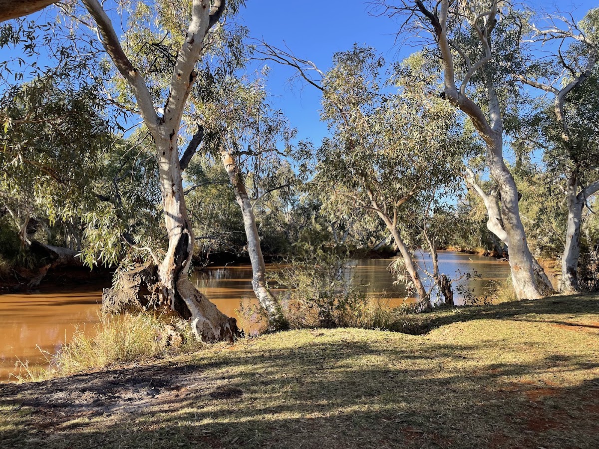 Wiluna Caravan Park