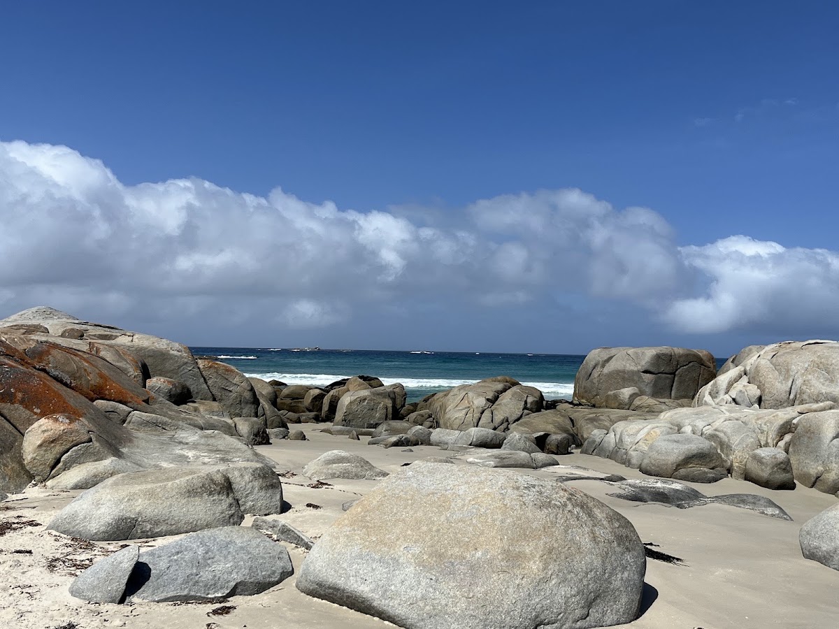 Beerbarrel Beach