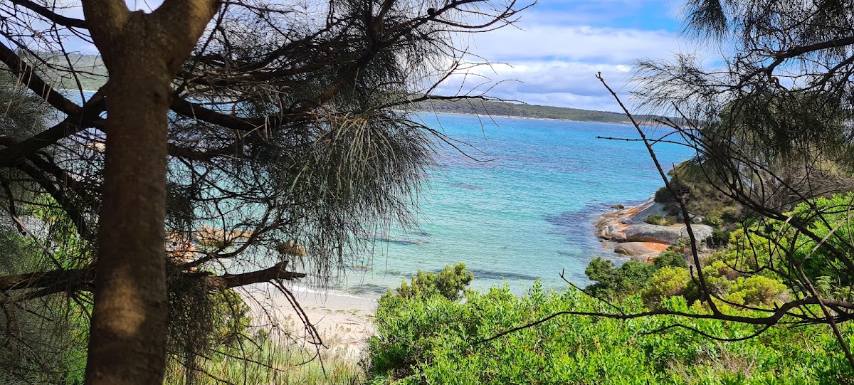 Beerbarrel Beach