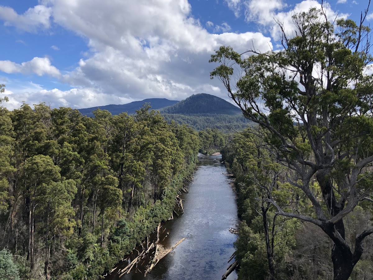 Tahune Forest Reserve