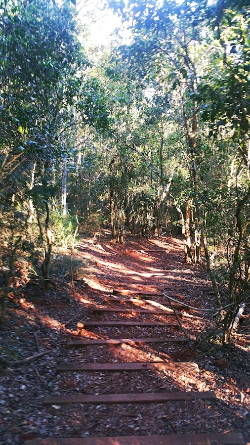 Mount Wooroolin Lookout