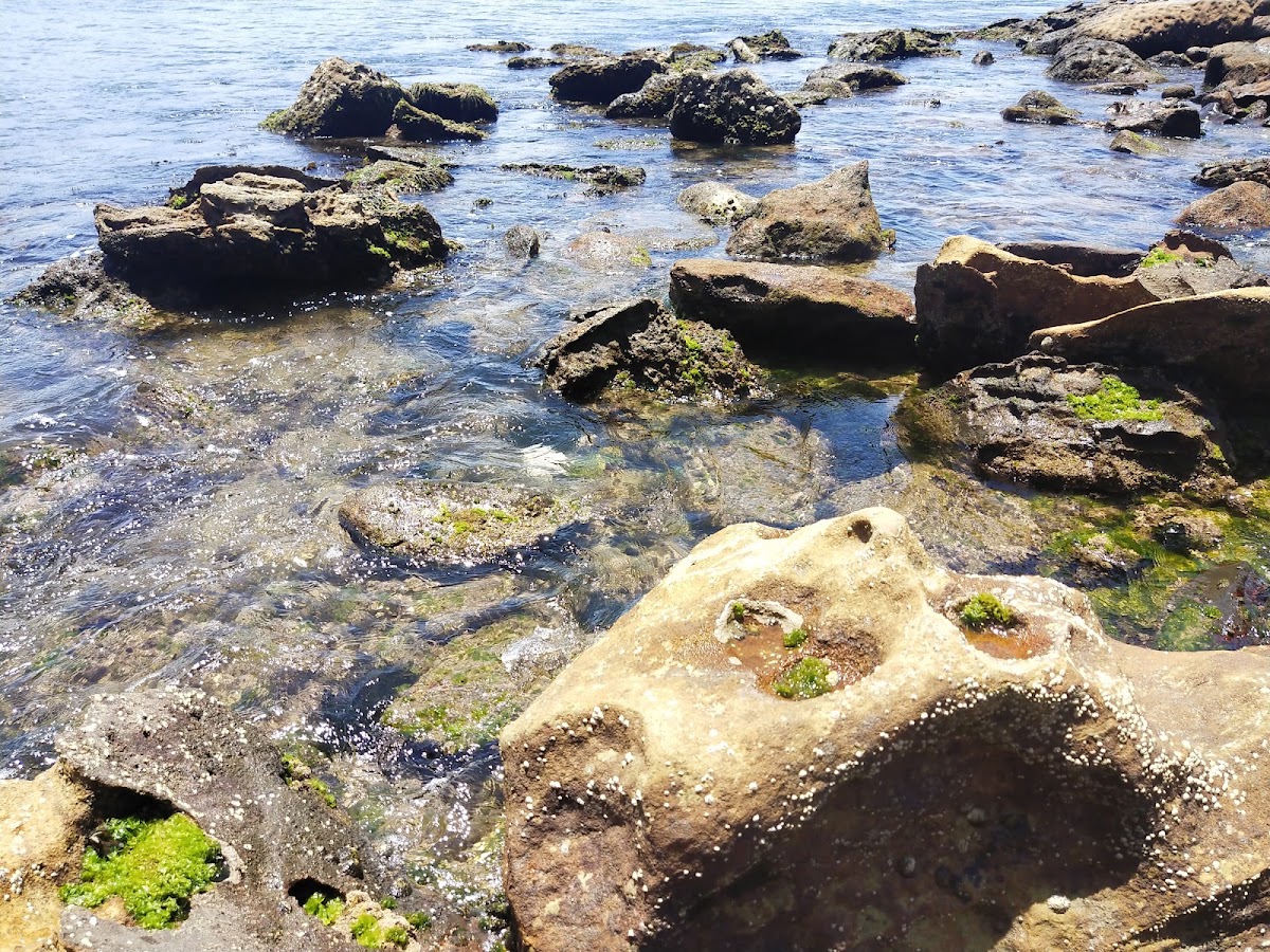 Pearl Beach