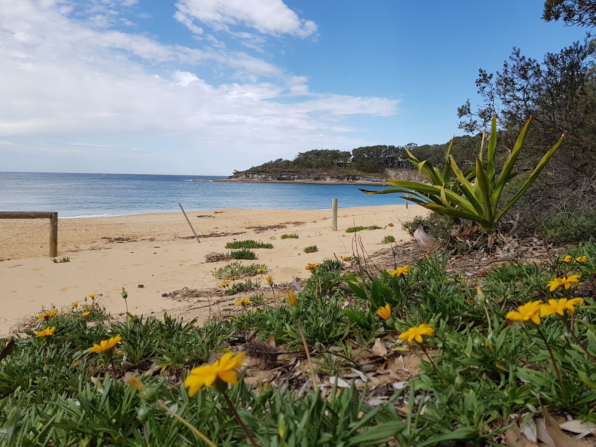 Pearl Beach
