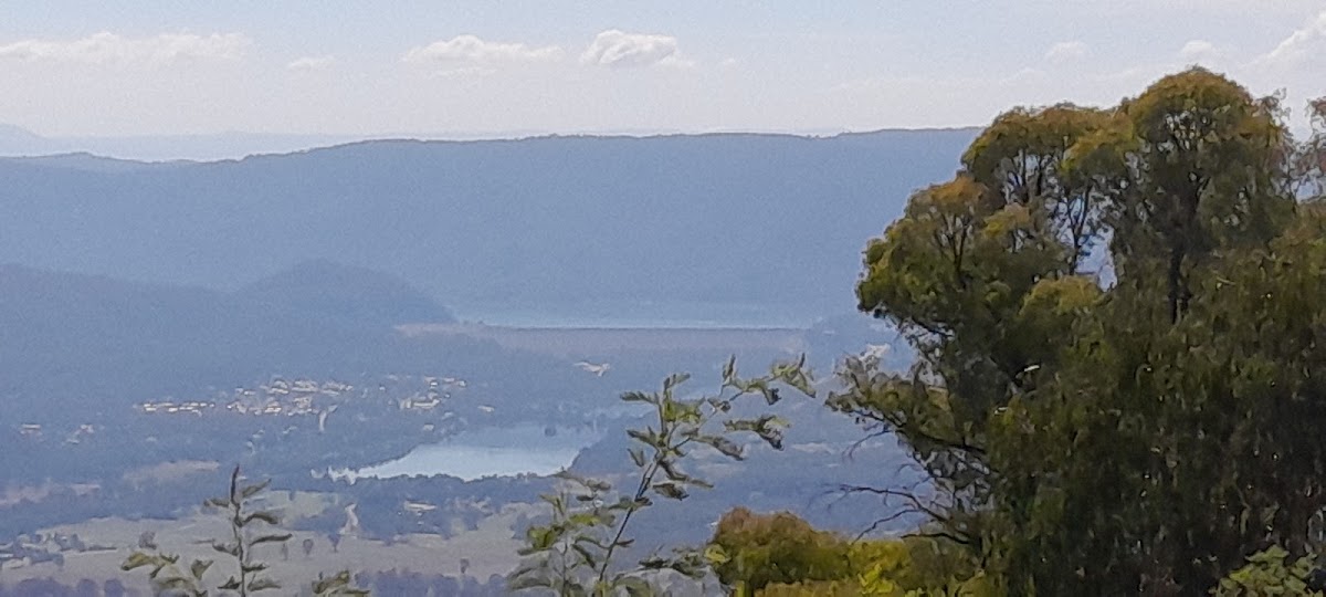 Morris Lookout