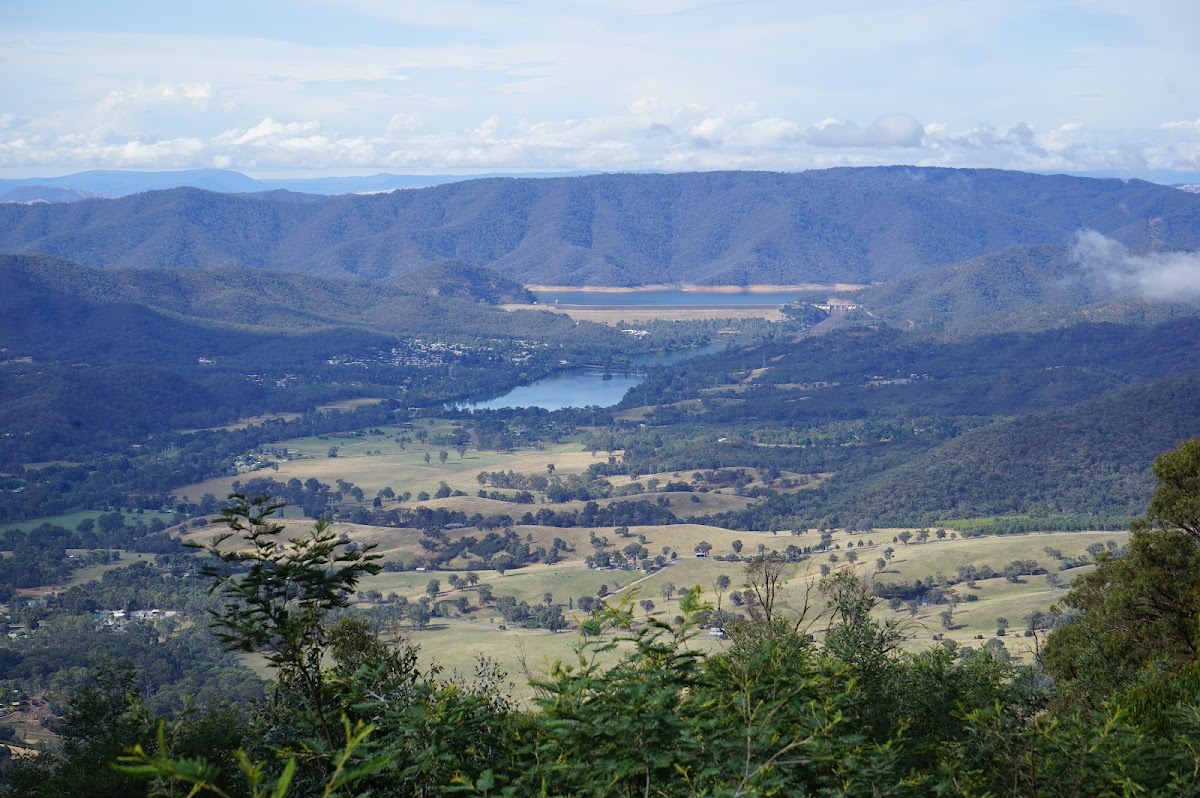 Morris Lookout