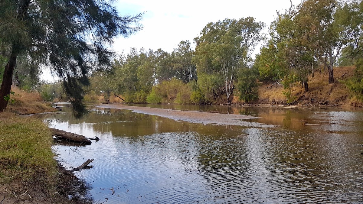Pallamallawa Fishing Club Memorial Park