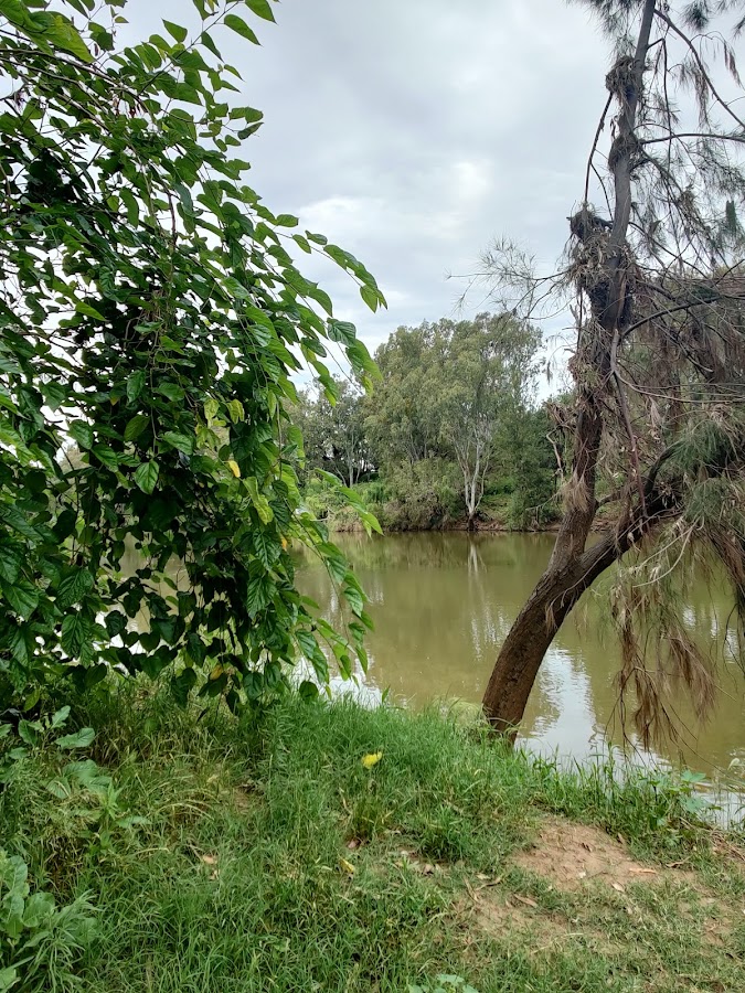 Pallamallawa Fishing Club Memorial Park