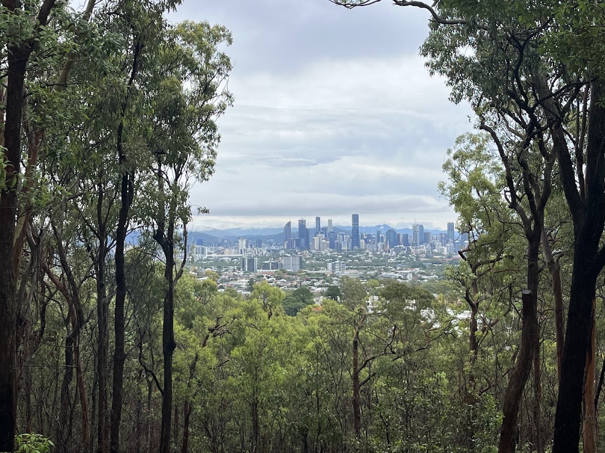 Whites Hill