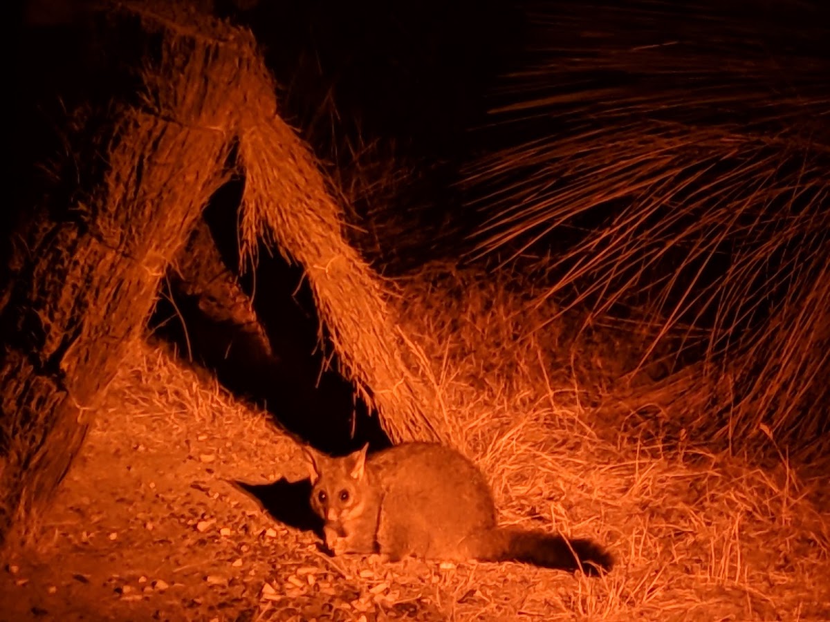 Barnabinmah Conservation Park