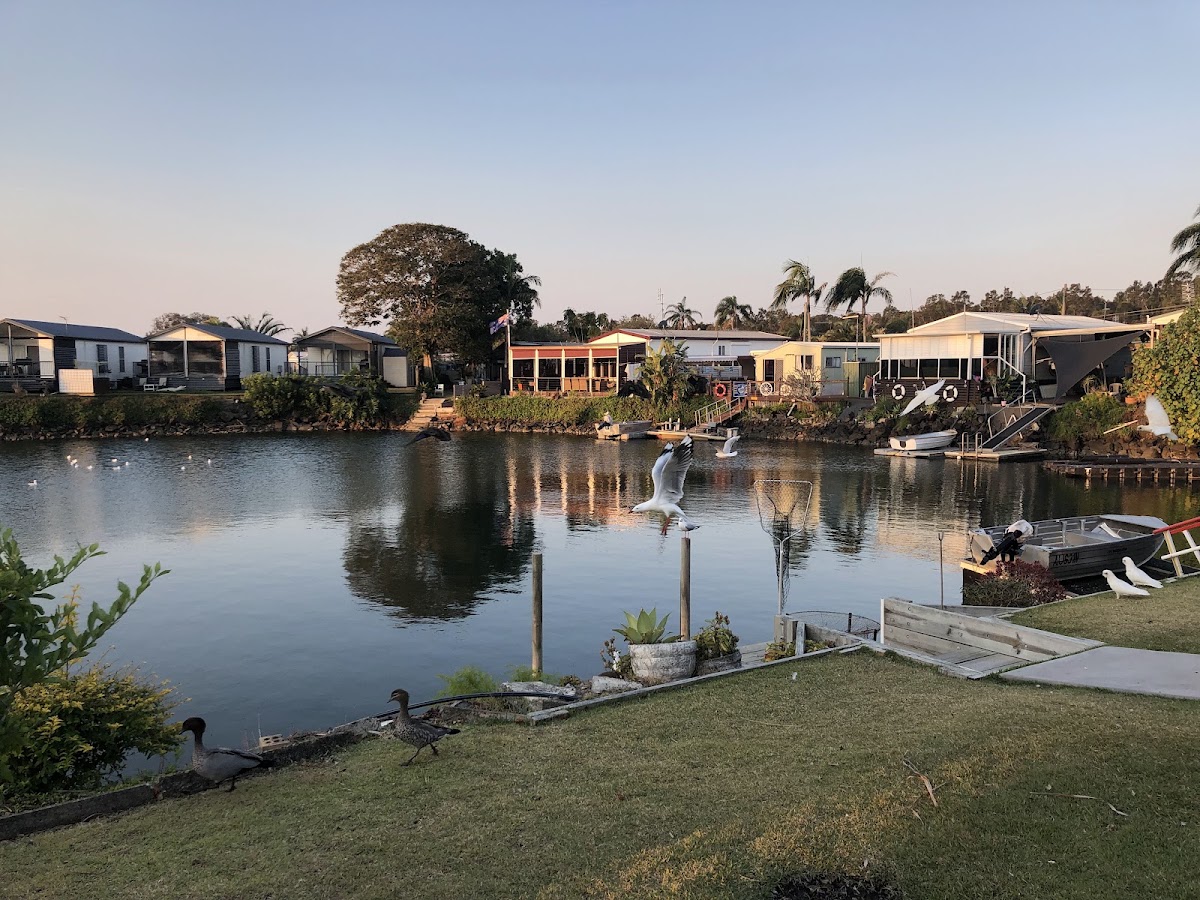 Tweed River Hacienda Holiday Park