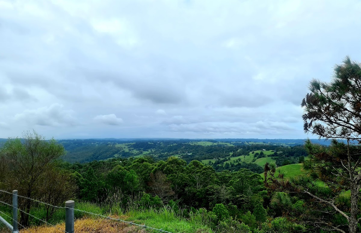 Howells Knob Lookout