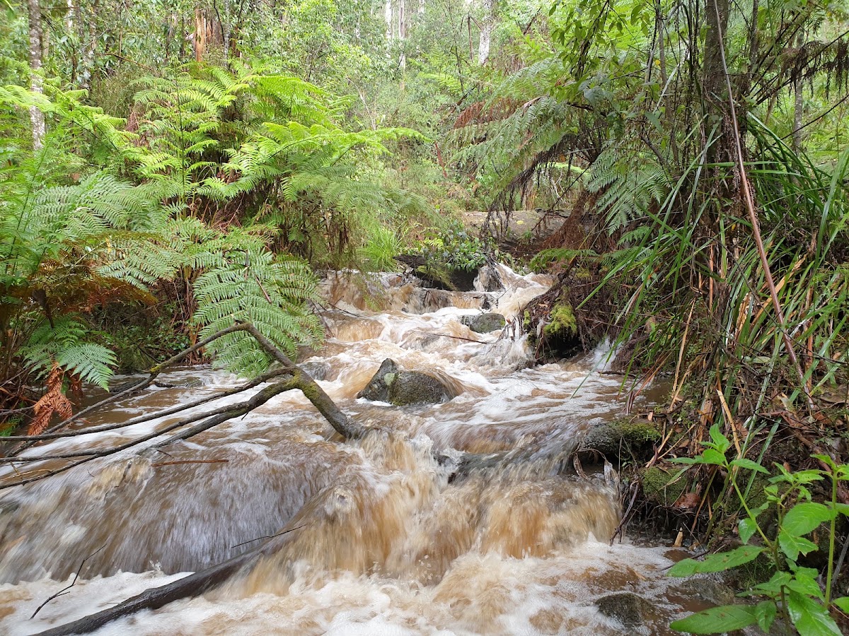 Britannia Creek Falls