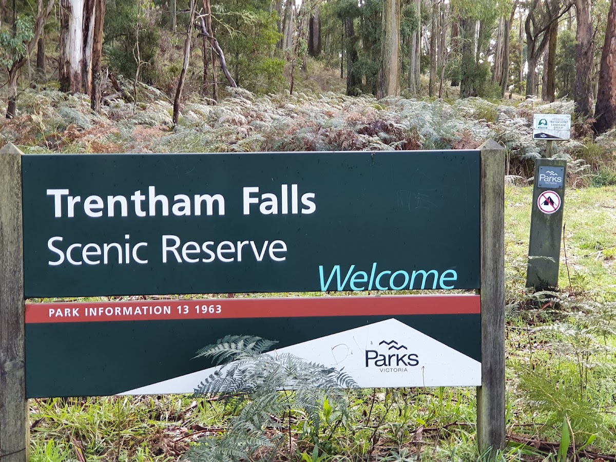 Coliban Falls