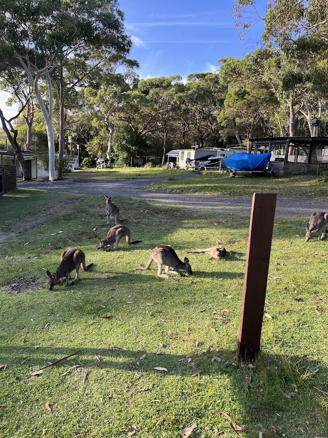 Bream Beach Holiday Park
