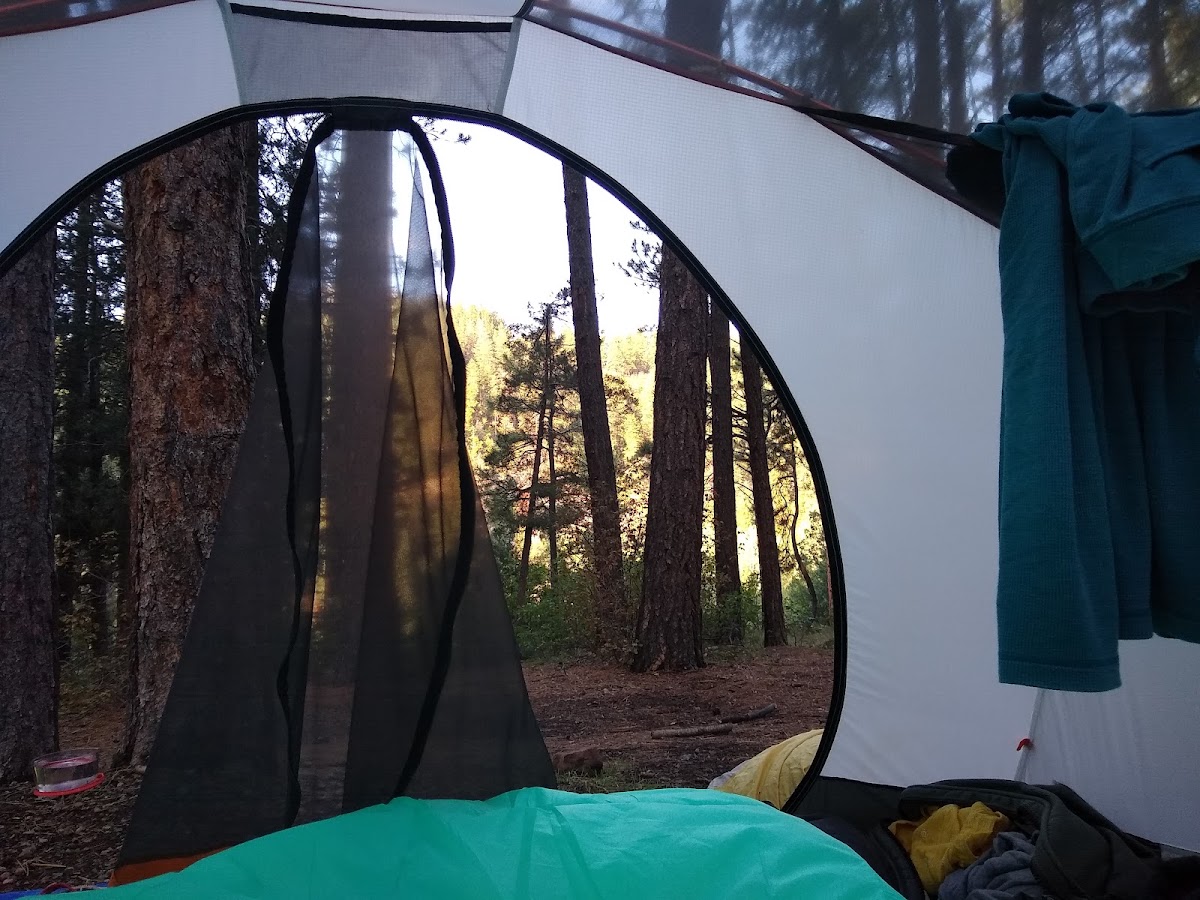 Junction Creek Campsite