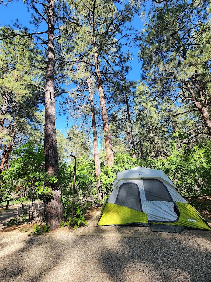 Junction Creek Campsite