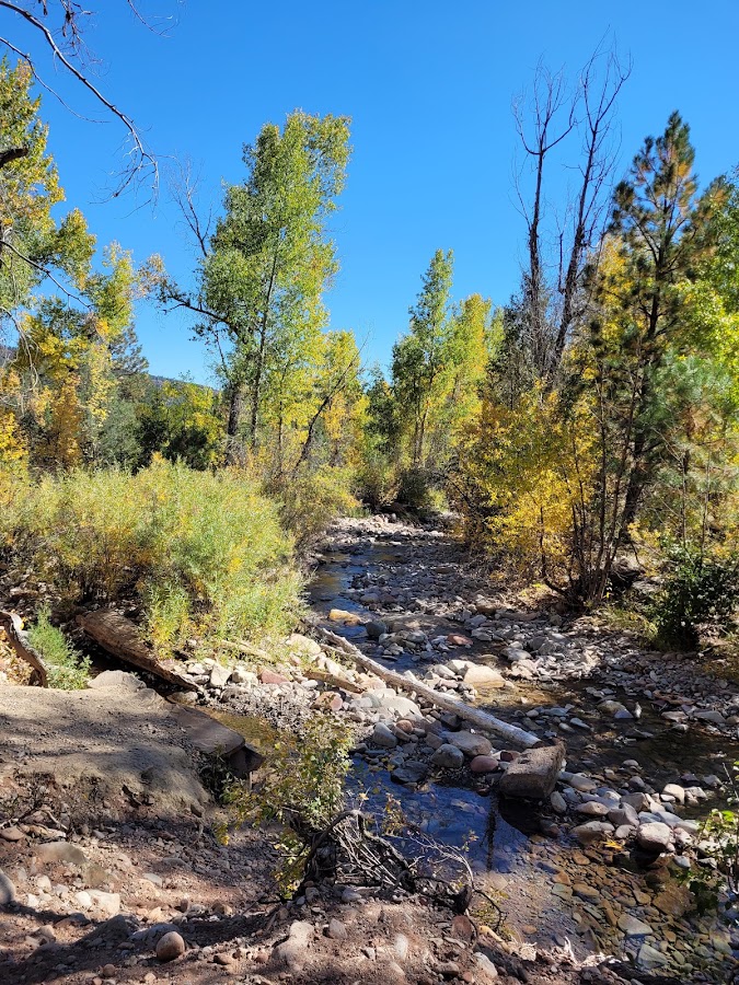 Junction Creek Campsite