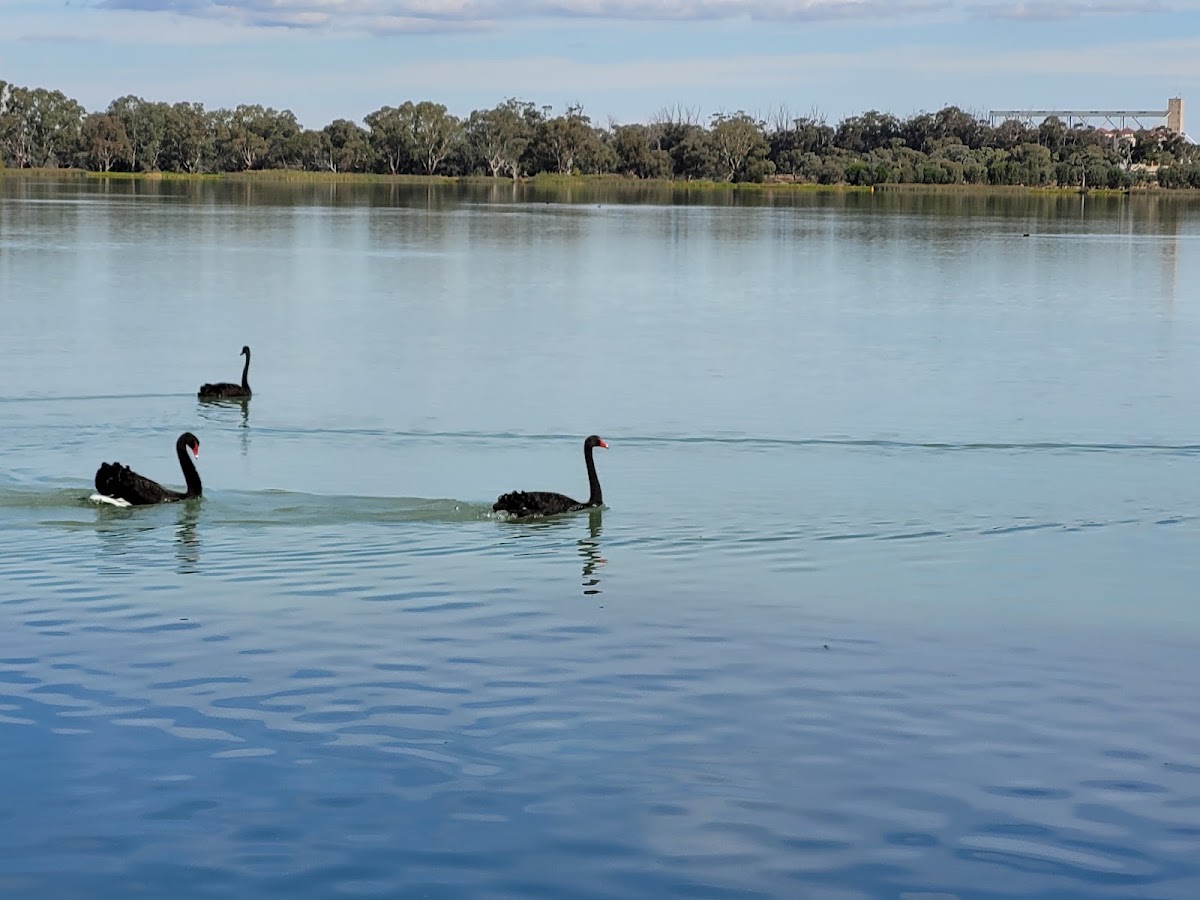 Boort Lakes Holiday Park