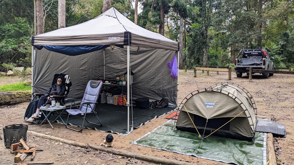 Booloumba Creek Camping Area 1