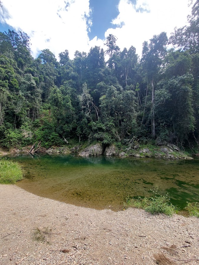 Booloumba Creek Camping Area 1