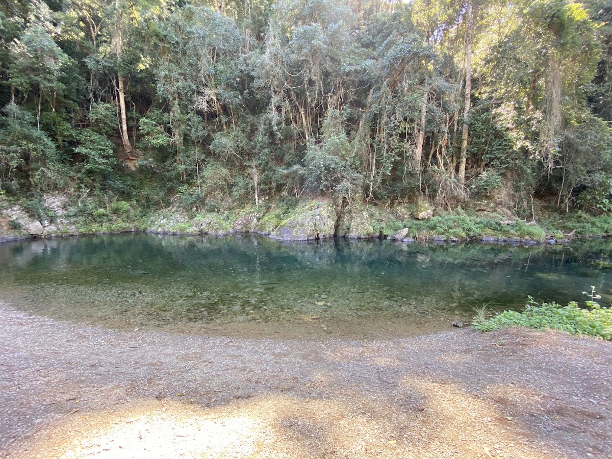 Booloumba Creek Camping Area 1