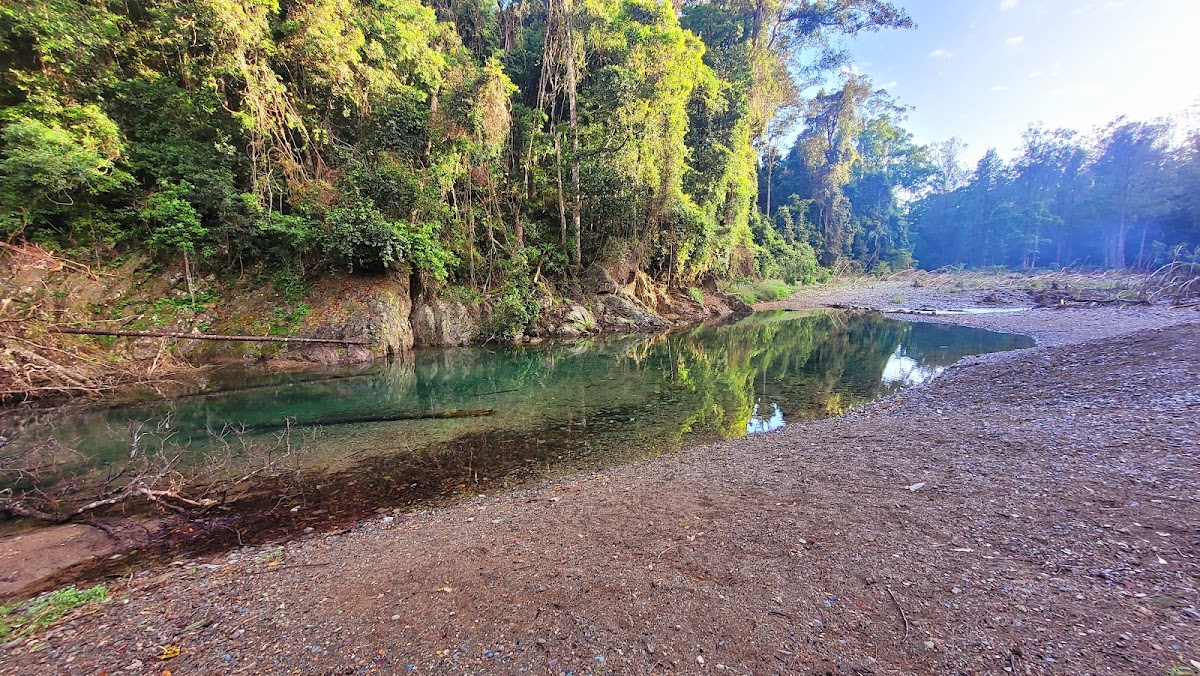 Booloumba Creek Camping Area 1