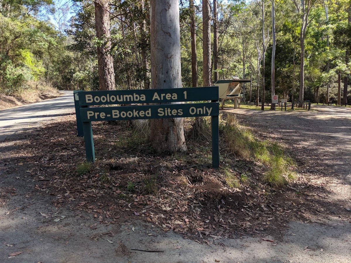 Booloumba Creek Camping Area 1
