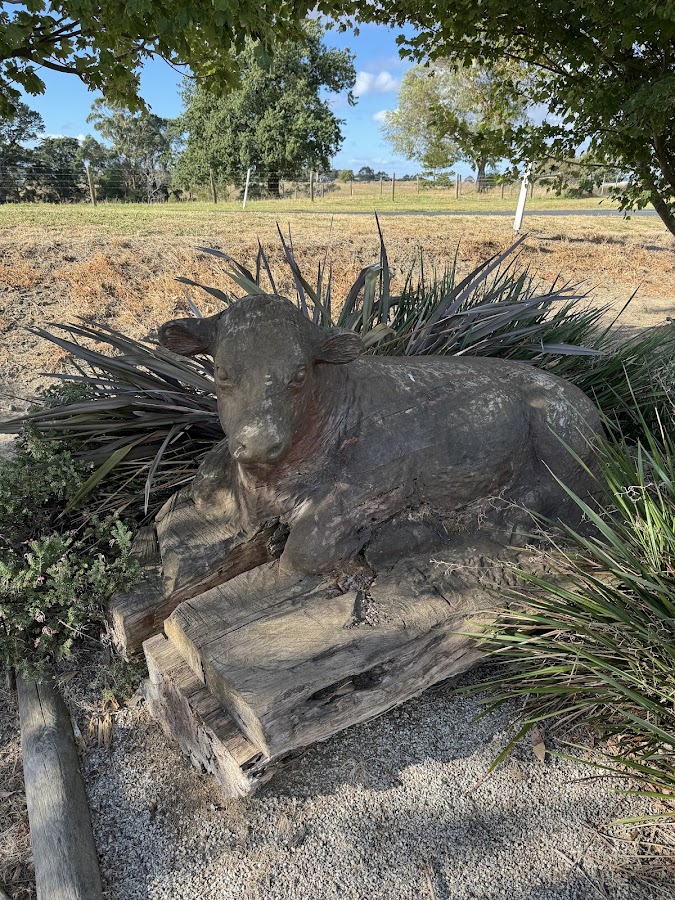 Sculpture Park Scenic Lookout