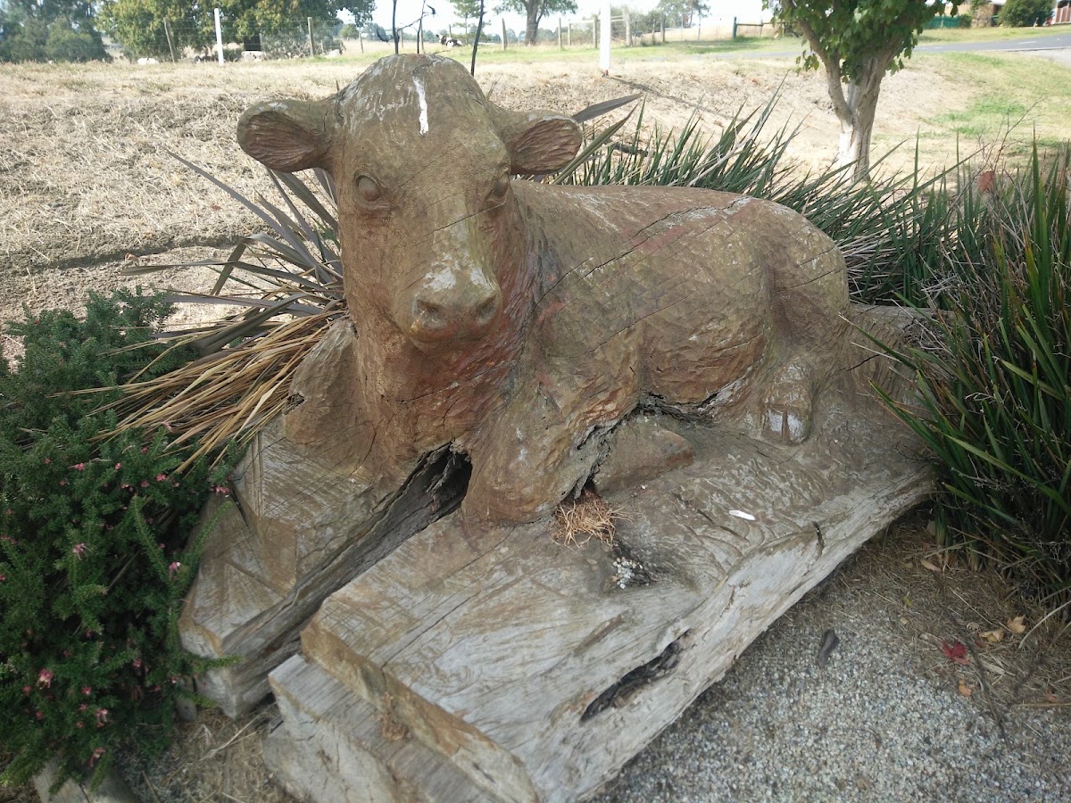 Sculpture Park Scenic Lookout