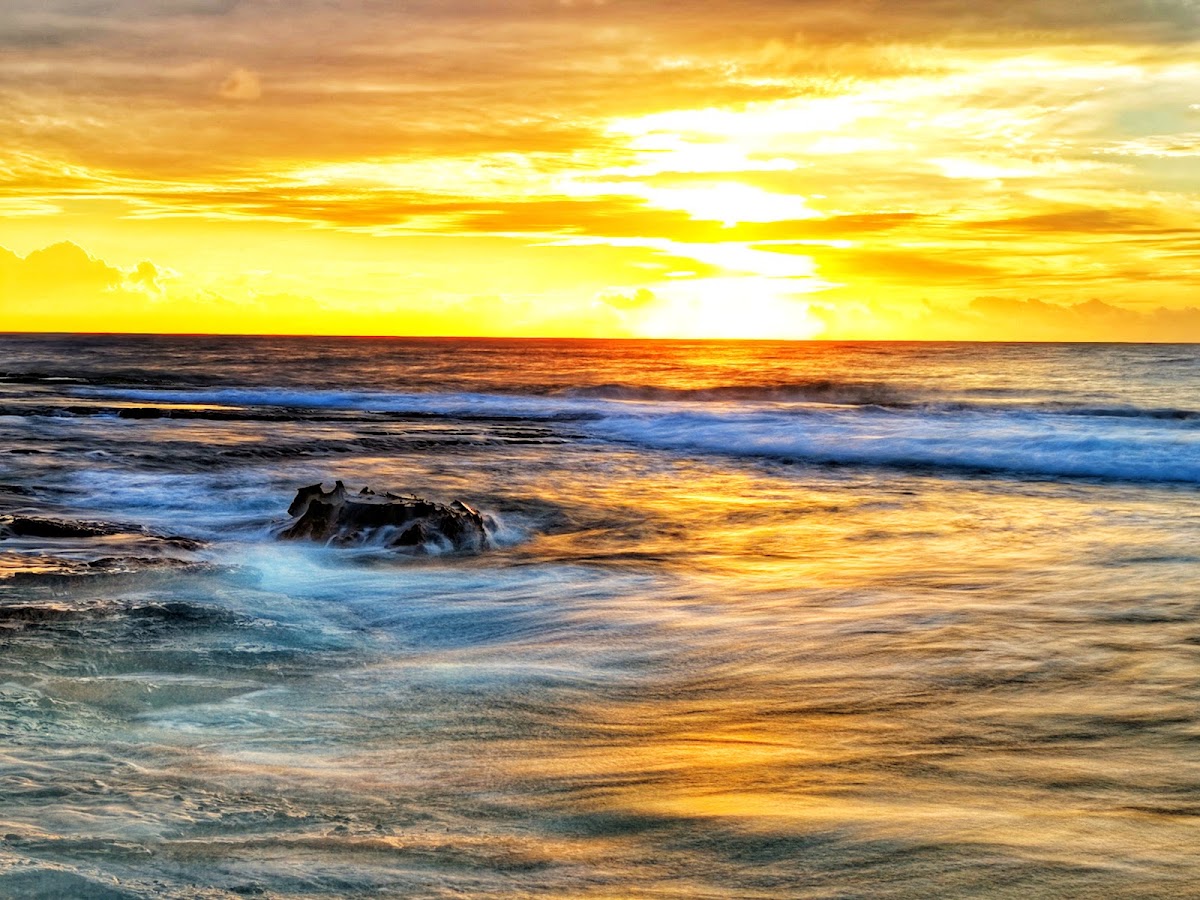 Narrabeen Beach