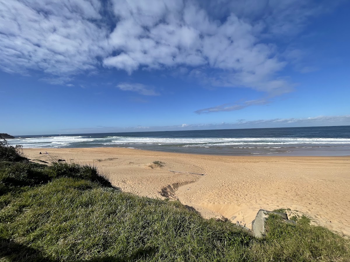 Narrabeen Beach