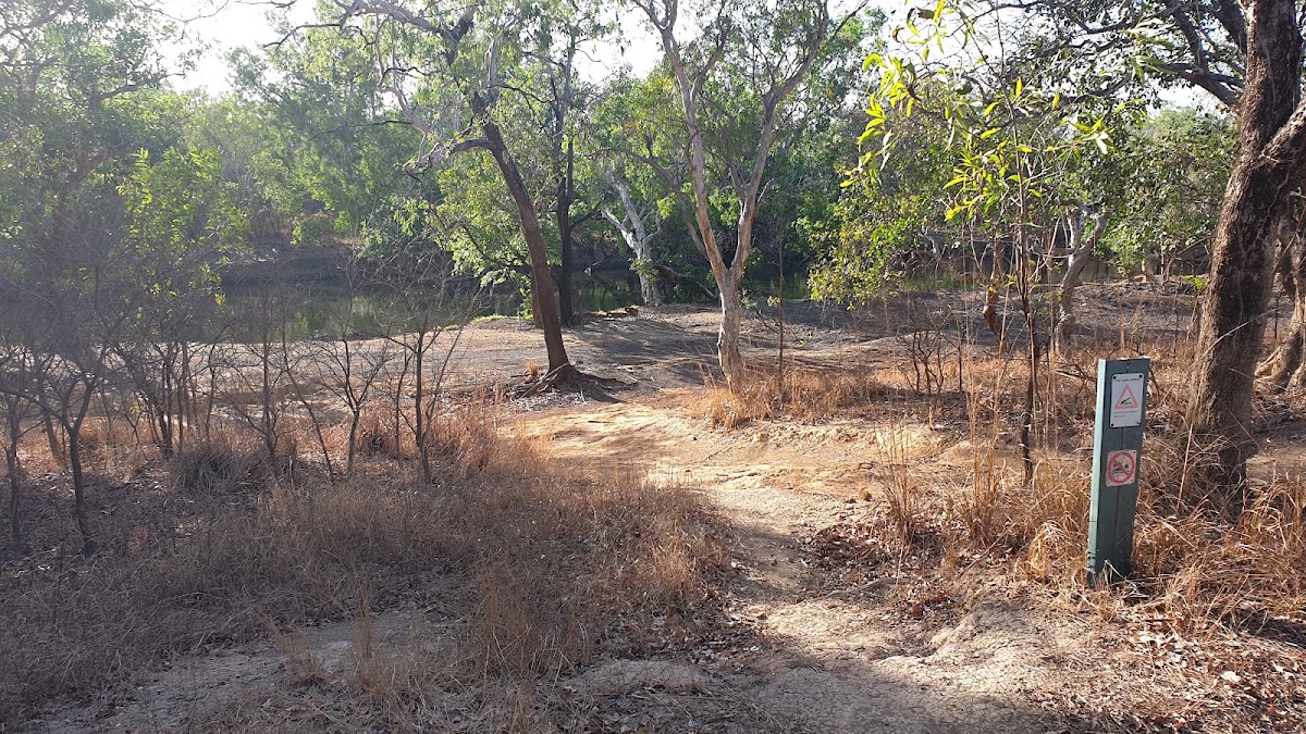 Mick Fienn Waterhole