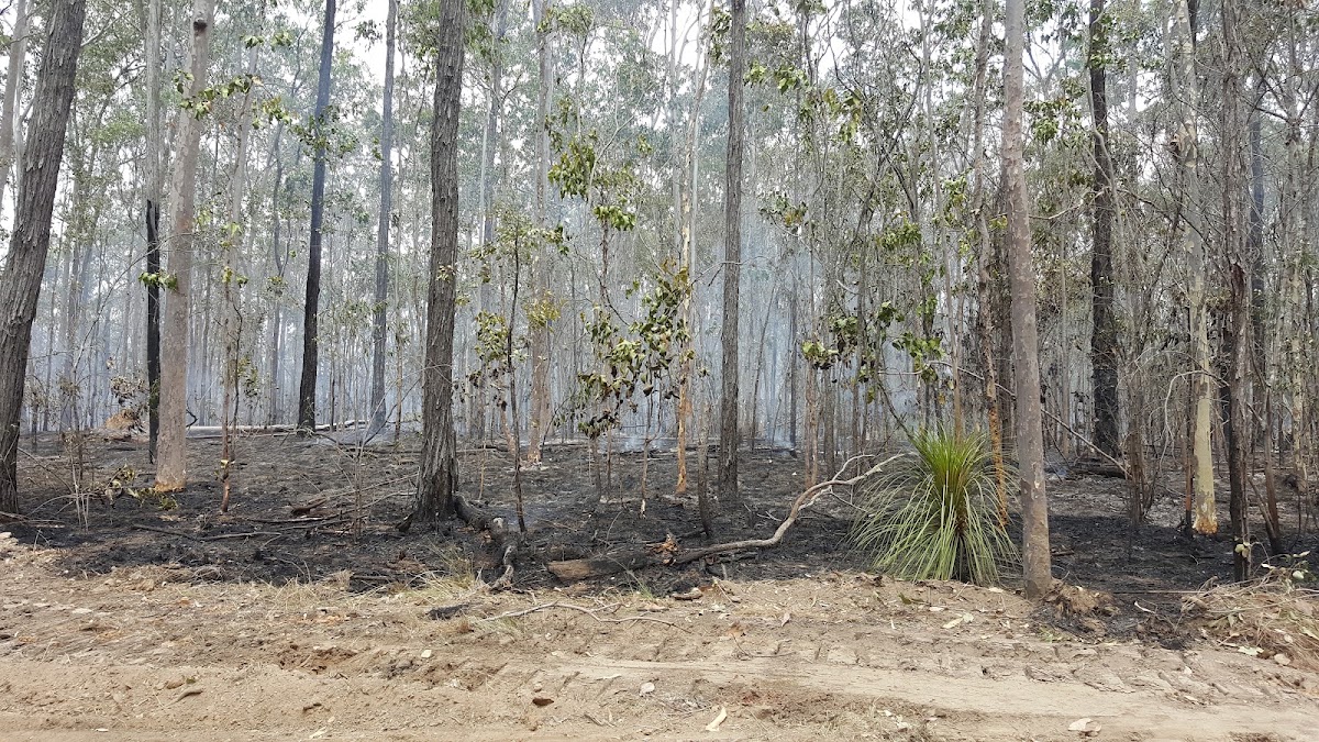 Fortis Creek National Park