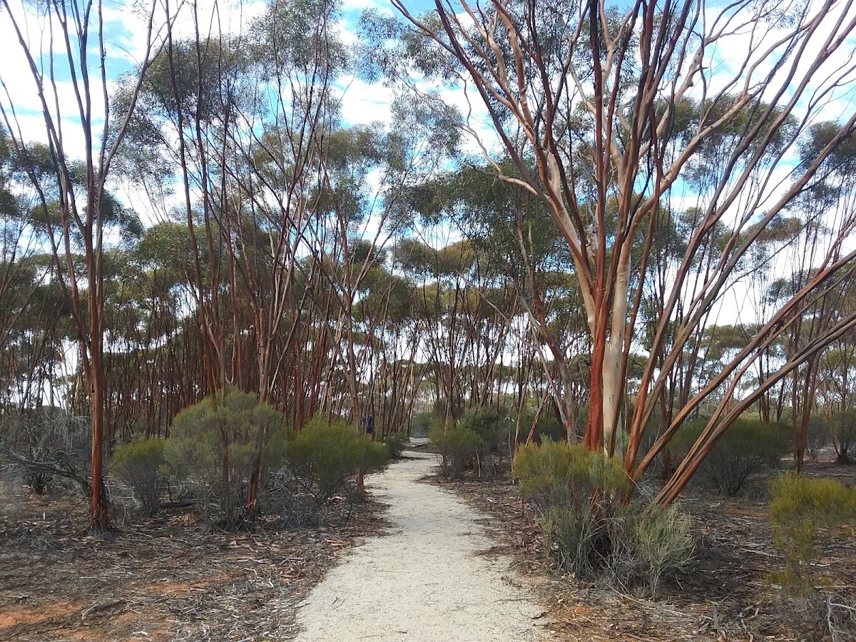 Boorabbin National Park