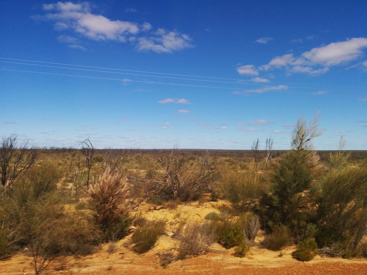 Boorabbin National Park