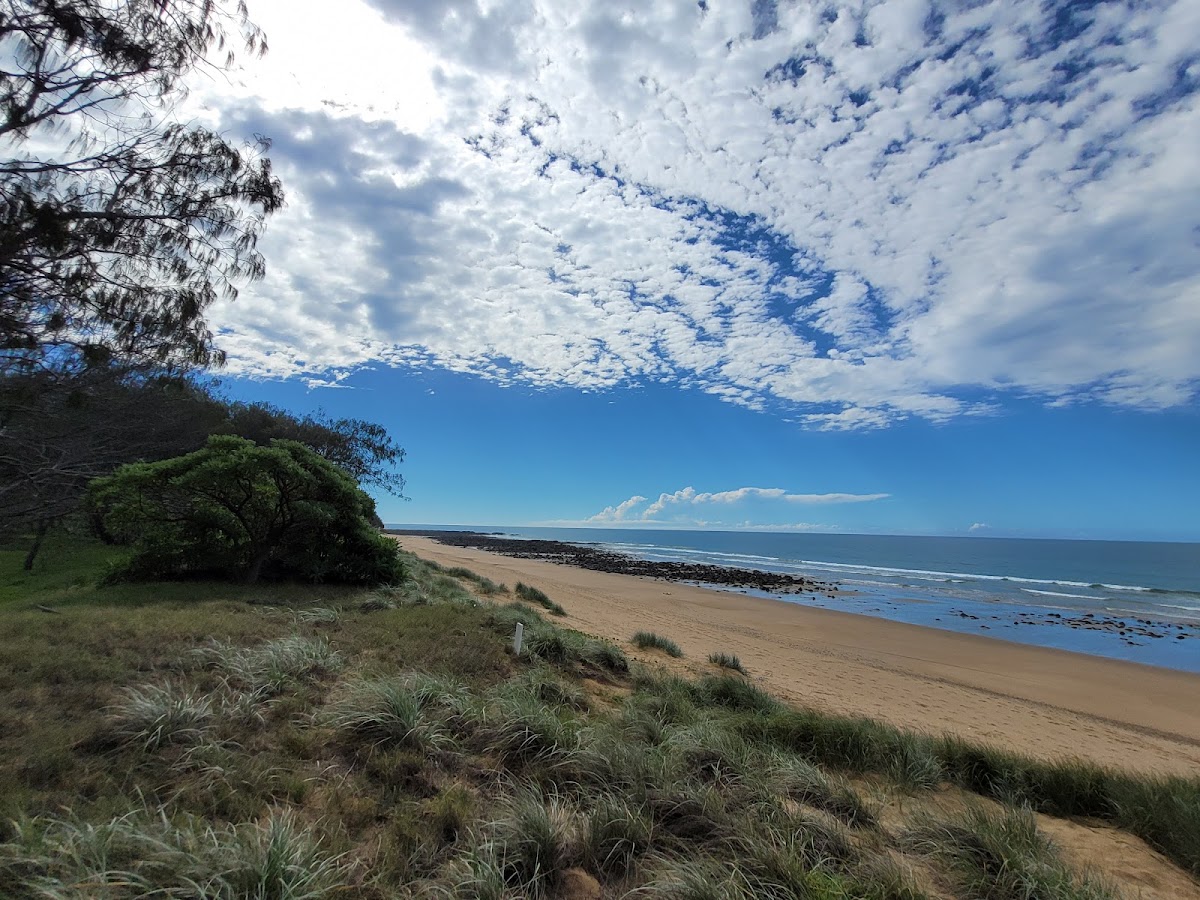 Mon Repos Beach