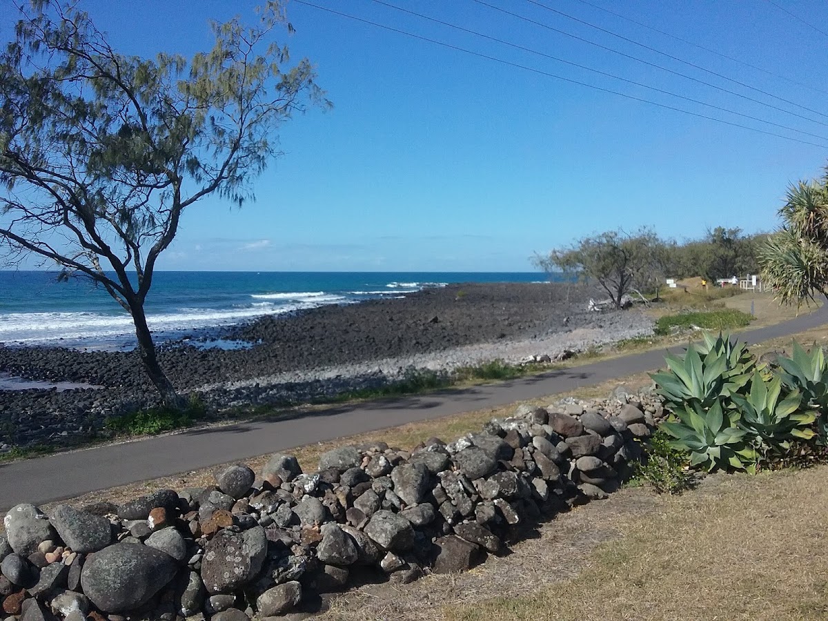 Mon Repos Beach